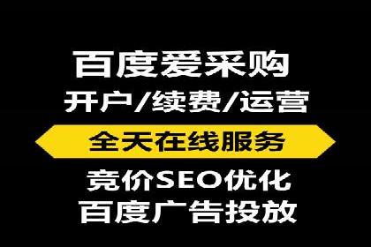 成功案例解析：SEM竞价托管的优化之路
